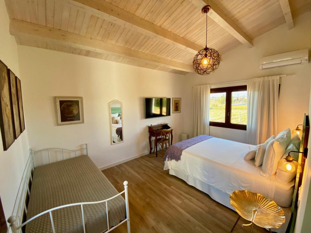 Bed & Breakfast Wine & Cooking Penedes Pla del Panades Luaran gambar