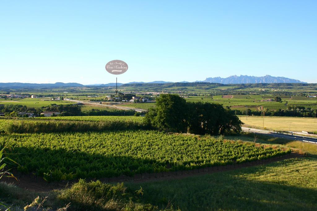 Bed & Breakfast Wine & Cooking Penedes Pla del Panades Luaran gambar